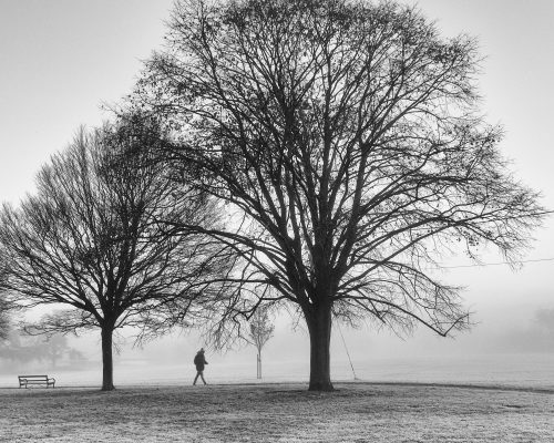 support_bulimia_nervosa support_bulimia_nervosa